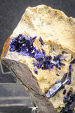 20092 - Beautiful Deep Blue Azurite Crystals on Carbonate Matrix - Kerrouchen (Morocco)