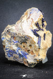 20092 - Beautiful Deep Blue Azurite Crystals on Carbonate Matrix - Kerrouchen (Morocco)