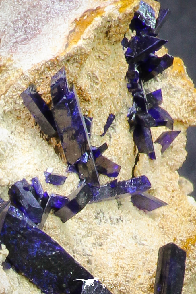 20092 - Beautiful Deep Blue Azurite Crystals on Carbonate Matrix - Kerrouchen (Morocco)