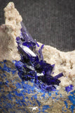 20093 - Beautiful Deep Blue Azurite Crystals on Carbonate Matrix - Kerrouchen (Morocco)