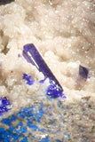 20093 - Beautiful Deep Blue Azurite Crystals on Carbonate Matrix - Kerrouchen (Morocco)