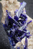 20093 - Beautiful Deep Blue Azurite Crystals on Carbonate Matrix - Kerrouchen (Morocco)