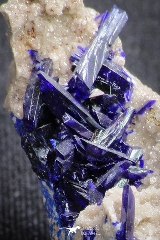 20093 - Beautiful Deep Blue Azurite Crystals on Carbonate Matrix - Kerrouchen (Morocco)