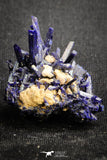 20094 - Beautiful Deep Blue Azurite Crystals - Kerrouchen mine (Morocco)