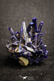 20094 - Beautiful Deep Blue Azurite Crystals - Kerrouchen mine (Morocco)