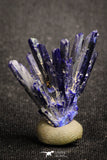 20095 - Beautiful Deep Blue Azurite Crystals - Kerrouchen mine (Morocco)