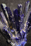 20095 - Beautiful Deep Blue Azurite Crystals - Kerrouchen mine (Morocco)