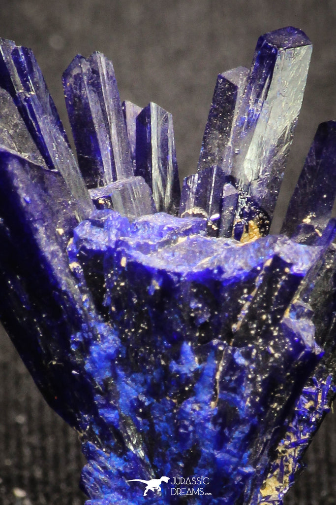20095 - Beautiful Deep Blue Azurite Crystals - Kerrouchen mine (Morocco)