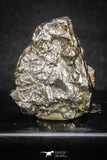 20100 - Campo del Cielo Iron IAB-MG Meteorite 38.3g Argentina