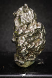 20101 - Campo del Cielo Iron IAB-MG Meteorite 44.5g Argentina