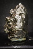20101 - Campo del Cielo Iron IAB-MG Meteorite 44.5g Argentina