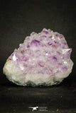 20140 - Beautiful Purple Natural Amethyst Crystals Cluster Minas Gerais District - Brazil
