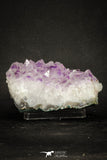 20140 - Beautiful Purple Natural Amethyst Crystals Cluster Minas Gerais District - Brazil