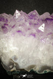 20140 - Beautiful Purple Natural Amethyst Crystals Cluster Minas Gerais District - Brazil