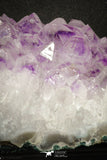 20140 - Beautiful Purple Natural Amethyst Crystals Cluster Minas Gerais District - Brazil