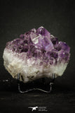 20142 - Beautiful Purple Natural Amethyst Crystals Cluster Minas Gerais District - Brazil