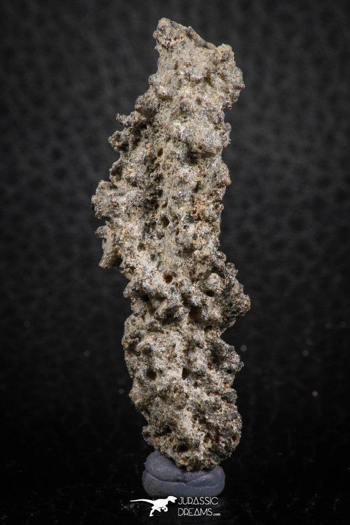 07303 -  Top Rare 2.02 Inch Fulgurite ("Petrified lightning") Collected in Algeria