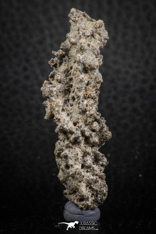 07303 -  Top Rare 2.02 Inch Fulgurite ("Petrified lightning") Collected in Algeria