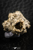 07303 -  Top Rare 2.02 Inch Fulgurite ("Petrified lightning") Collected in Algeria