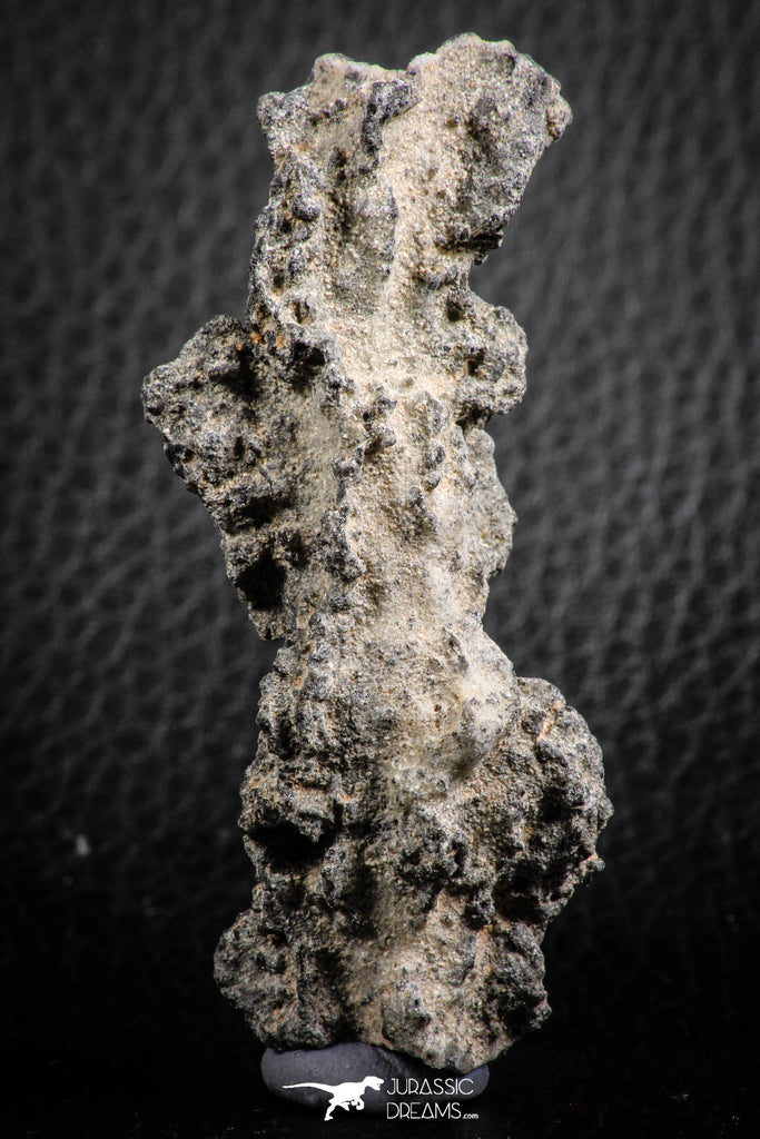07306 -  Top Rare 2.67 Inch Fulgurite ("Petrified lightning") Collected in Algeria