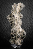07306 -  Top Rare 2.67 Inch Fulgurite ("Petrified lightning") Collected in Algeria