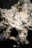 07306 -  Top Rare 2.67 Inch Fulgurite ("Petrified lightning") Collected in Algeria