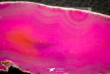 07311 -  Extremely Beautiful 3.79 Inch Brazilian Agate Slice (Chalcedony Geode Section)