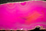 07311 -  Extremely Beautiful 3.79 Inch Brazilian Agate Slice (Chalcedony Geode Section)