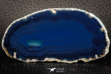 07312 -  Extremely Beautiful 3.32 Inch Brazilian Agate Slice (Chalcedony Geode Section)