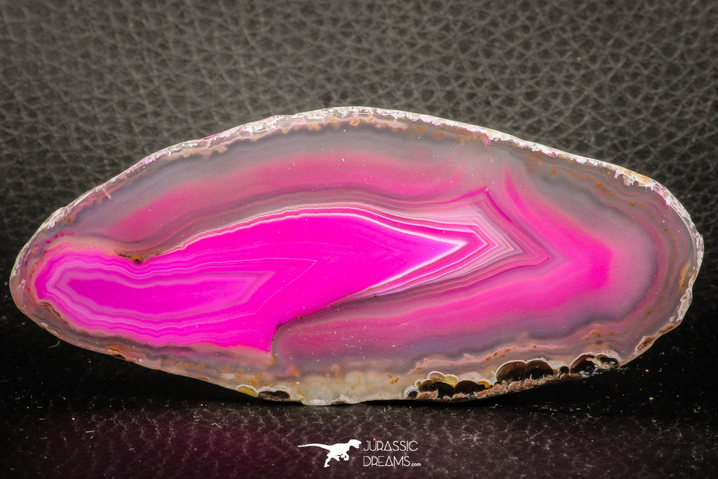 07320 - Beautiful 3.81 Inch Brazilian Agate Slice (Chalcedony Geode Section)