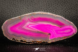 07320 - Beautiful 3.81 Inch Brazilian Agate Slice (Chalcedony Geode Section)