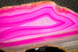 07322 -  Extremely Beautiful 4.31 Inch Brazilian Agate Slice (Chalcedony Geode Section)