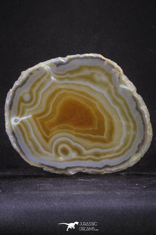 20251 -  Extremely Beautiful 5.37 Inch Brazilian Agate Slice (Chalcedony Geode Section)