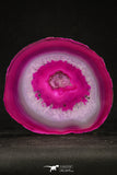 20252 -  Extremely Beautiful 4.99 Inch Brazilian Agate Slice (Chalcedony Geode Section)