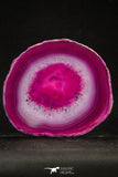 20252 -  Extremely Beautiful 4.99 Inch Brazilian Agate Slice (Chalcedony Geode Section)