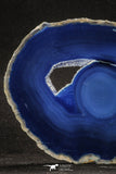 20255 -  Extremely Beautiful 5.09 Inch Brazilian Agate Slice (Chalcedony Geode Section)