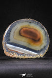 20256 -  Extremely Beautiful 4.77 Inch Brazilian Agate Slice (Chalcedony Geode Section)