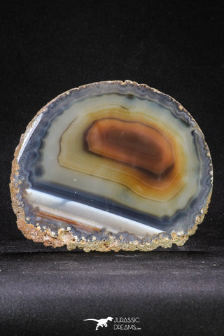 20256 -  Extremely Beautiful 4.77 Inch Brazilian Agate Slice (Chalcedony Geode Section)