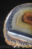 20256 -  Extremely Beautiful 4.77 Inch Brazilian Agate Slice (Chalcedony Geode Section)