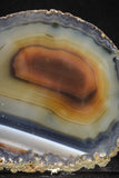 20256 -  Extremely Beautiful 4.77 Inch Brazilian Agate Slice (Chalcedony Geode Section)