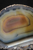 20256 -  Extremely Beautiful 4.77 Inch Brazilian Agate Slice (Chalcedony Geode Section)