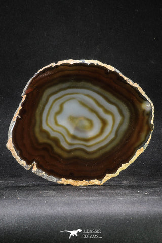 20257 -  Extremely Beautiful 5.46 Inch Brazilian Agate Slice (Chalcedony Geode Section)