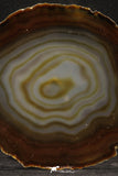 20257 -  Extremely Beautiful 5.46 Inch Brazilian Agate Slice (Chalcedony Geode Section)