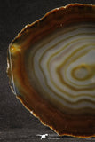 20257 -  Extremely Beautiful 5.46 Inch Brazilian Agate Slice (Chalcedony Geode Section)