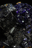 08340 - Beautiful Deep Blue Azurite Crystals - Kerrouchen mine (Morocco)