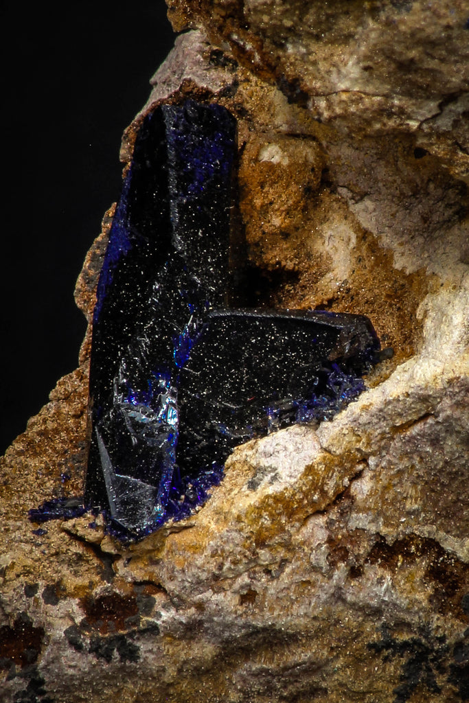 08341 - Beautiful Deep Blue Azurite Crystals on Carbonate Matrix - Kerrouchen (Morocco)