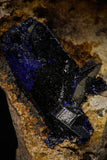 08341 - Beautiful Deep Blue Azurite Crystals on Carbonate Matrix - Kerrouchen (Morocco)