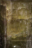 08345 - Beautiful Yellow Green Apatite Crystal - Imilchil (Morocco)