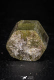 08345 - Beautiful Yellow Green Apatite Crystal - Imilchil (Morocco)