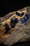 08349 - Top Beautiful Deep Blue Azurite Crystals on Carbonate Matrix - Kerrouchen (Morocco)